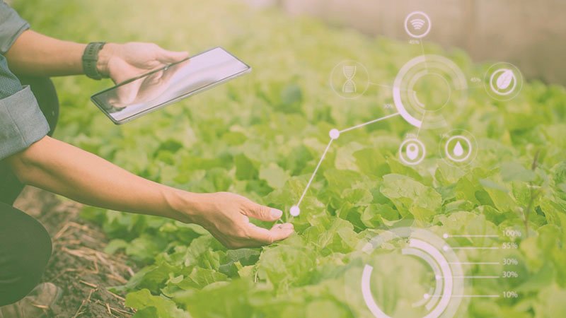 Ejecución de Proyectos Productivos