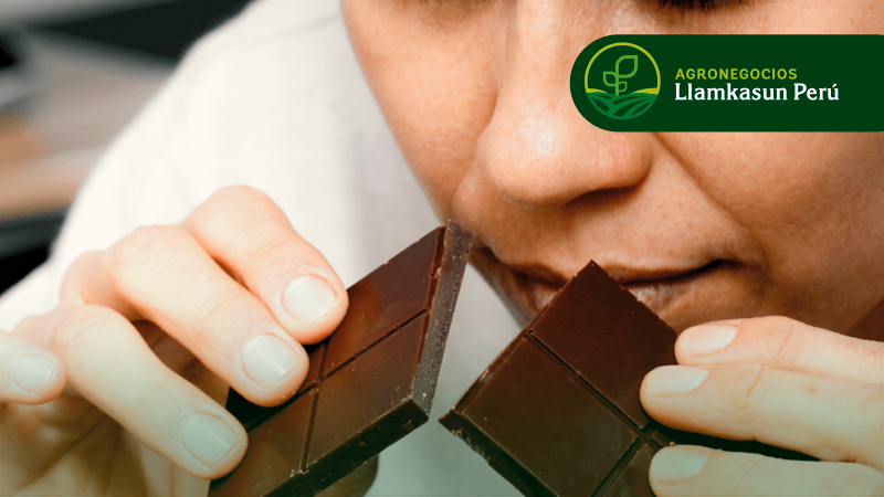 CATA Y EVALUACIÓN DEL CACAO Y SUS DERIVADOS (ENFOQUE EN LA EVALUACIÓN DE LICOR DE CACAO, CHOCOLATE Y OTROS PRODUCTOS