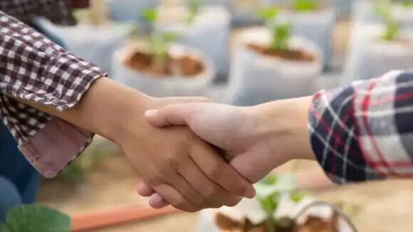 CONSTITUCIONES DE ASOCIACIONES Y COOPERATIVAS AGRARIAS