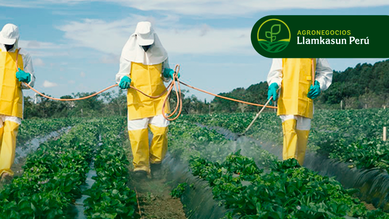MANEJO ADECUADO DE PLAGUICIDAS Y AGROQUÍMICOS AGRÍCOLAS