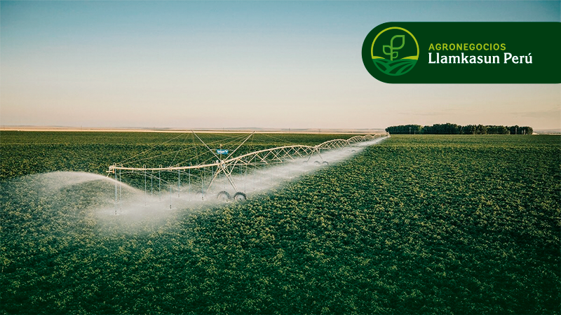 DISEÑO DE SISTEMAS DE RIEGO POR GOTEO Y ASPERSIÓN